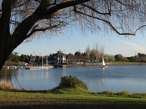 Shoreline Lake